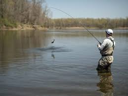 Check spelling or type a new query. Product Review St Croix Panfish Series Rods On The Water