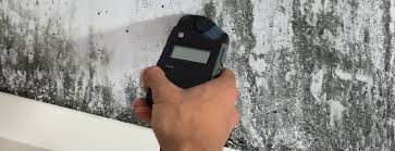 Check spelling or type a new query. Keep Your Home Safe And Dry With Mold Moisture Resistant Drywall