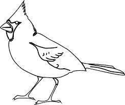 Cardinal Outline Clip Art At Clker Com Vector Clip Art Online Bird Coloring Pages Sketch Drawing Images Art