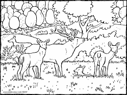 Schwierige malvorlagen für erwachsene mit dem thema tiere. Waldtiere Kleurprenten Seite 4 Von 4 Kiddicolour