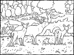 Juli 2019 · aktualisiert 17. 38 Ausmalbilder Fuchs Wald Besten Bilder Von Ausmalbilder
