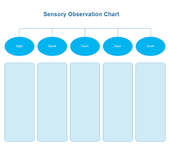 Sensory Observation Chart Free Sensory Observation Chart
