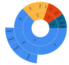 How To Create A Sunburst Graph In Sql Server Reporting