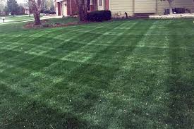 For 45 years, we have been helping wichita area residents and business owners enhance the look and value of their property with our quality lawn. Thompson S Lawn Care Wichita Landscaping