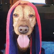 Baby McLean coming this August 👼🏼🤍