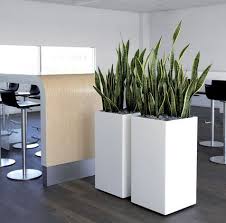 Homes Interior Com This Website Is For Sale Homes Interior Resources And Information Indoor Plants Plants Office Plants