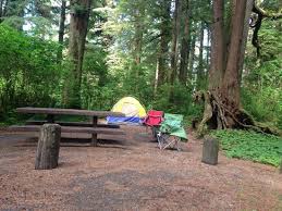 Check spelling or type a new query. Mora Campground Olympic National Park Wa Foto S En Reviews Tripadvisor