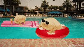 Download it is wednesday my dudes sound: Top 30 It Is Wednesday My Dudes Gifs Find The Best Gif On Gfycat