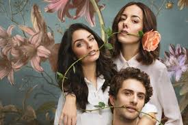 Rosa maría y david no tienen nada en común: La Casa De Las Flores Temporada 3 2020 Critica El Culebron De Netflix Se Redime