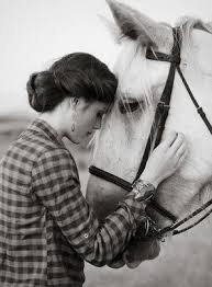 صور خيول بيضاء اصيلة صور حصان ابيض اخبار العراق Horse Ears Horses Horse Inspiration