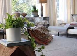 Barri Thompson Interior Design Birmingham Al Hollywood Glam Interior Design Low Mainten Glam Interior Design Low Maintenance Indoor Plants Hygge Living