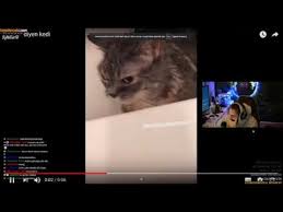 Banane Diyen Kedi 3gp Mp4 Mp3 Flv Indir