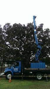 We did not find results for: Atlas Tree Service Atlastrees Twitter
