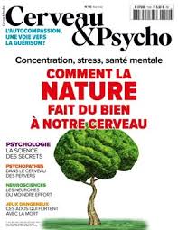 Cerveau Psycho N 110 Cerveau Le Cerveau Cadre De Sante