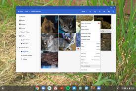 How To Change The Wallpaper On Your Chromebook Quick Tips Omg Chrome Here's how to change your chromebook wallpaper: how to change the wallpaper on your