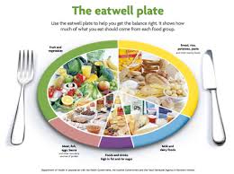 Free Balanced Diet Chart Download Free Clip Art Free Clip