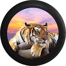 Every image can be downloaded in nearly every resolution to ensure it will work with your device. Download Hd Lion Jungle Cat Sunset Sky On Log Jeep Camper Spare Live Wallpaper Pc Windows 7 Animals Transparent Png Image Nicepng Com