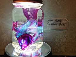 Ever Wanted X Ray Eyes Here S The Next Best Thing This Stunning Preserved Specimen From Deadanddyed Showcases The Art O Goldfish Skull And Bones Taxidermy