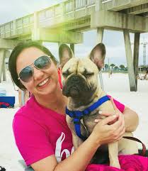 French bulldogs have erect bat ears and a charming, playful disposition. Panama City Beach Florida A Dog Friendly Destination That Dog Momma