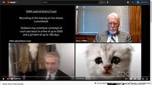 A lawyer showed up to virtual court in the 394th district of texas with a kitten filter turned on, the cat moving its lips and eyes, as rod ponton said he and his assistant were attempting to. I Am Not A Cat Courtroom Zoom Mishap Goes Viral News Dw 10 02 2021