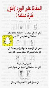 pin by manar ali manar ali on gifts in 2021 iphone wallpaper quotes love diy home cleaning house cleaning tips