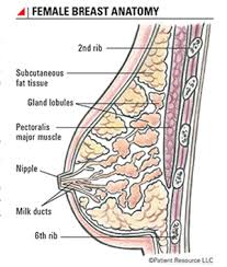 The specific symptoms you have related to your cancer and how bothersome these. Patient Resource Publishing Metastatic Breast