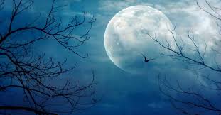 Our staff will be very cordial and southern hospitality will always be king. Halloween Blue Moon 2020 See The October S Full Moon Tonight Apsters Media