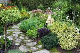 Purple Solenostemon Coleus Euphorbia Spurge Euonymus Fortunei Emerald N Gold Spindl Backyard Garden Landscape Trees For Front Yard Shade Landscaping