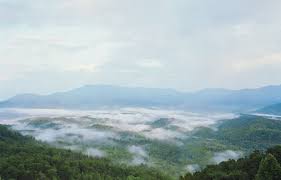 Nama adalah ciri atau tanda, maksudnya adalah orang yang diberi nama dapat mengenal dirinya atau dikenal oleh orang lain. Welcome To Symrise Symrise