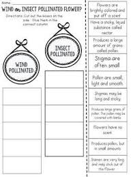 Just print them, cut out the domino pieces from the worksheet and play. Wind Or Insect Pollination Cut And Paste Sorting Activity By Jh Lesson Design