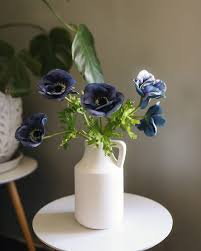 Image result for Aneilema nyasense