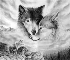 Karakalem Bozkurt Cizimleri Ve Resimleri Cok Iyi Abi Cool Wolf Drawings Wolf Love Wolf Mates Uluyan kurt resmi cizimi videomda oence kolay geometrik şekiller ile başlayarak daha sonr. karakalem bozkurt cizimleri ve
