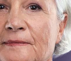 Santa Fe Reporter, July 24, 2024 by Santa Fe Reporter