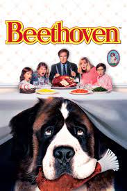 Doctor varnick, the local vet has a secret and horrible sideline, which requires lots of dogs for beethoven is not just some dog that wander in off the street. Beethoven Full Movie Movies Anywhere