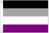 Amazon.com : Asexuality Pride Flag (3 ft. x 5 ft.) : Outdoor Flags ...