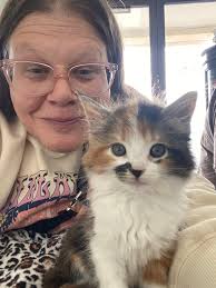 On a Cool and Rainy Friday Cat and Dog Volunteers gathered at the Shelter  to give these special babies some lovins. The Kitties at the Shelter are so  awesome, lovable and the