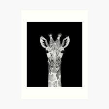 East Africa Art Prints Redbubble Find & download free graphic resources for east africa. east africa art prints redbubble