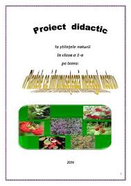 Jocuri instructiv educative pentru logopedie si psihopedagogie, planse, instrumente, aparate, dispozitive, modele, harti, globuri, atlase, microscoape digitale cu camera video. Proiect Didactic Grupa Pregatitoare Florile De Padure Poisk V Google