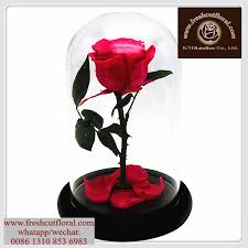 Flower dry silica gel is comprised of a mixture of very small blue indicating and white silica gel beads (or crystals) that work to adsorb the moisture from 1. Pale Turquoise Silica Gel For Drying Flowers Provided All The Time For Wedding Flower Arrangements Online Buy Preserved Rose Head Flower Wholesale Preserved Roses Cheapest Wholesale Preserved Roses Flowers Product On Alibaba Com