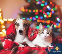 Pin By Corinda Winfree On Puzzle Love Pet Safety Christmas Cats Christmas Cat Photos