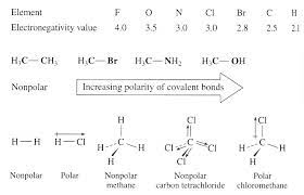 Why Are Most Organic Molecules Non Polar Socratic