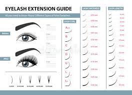 Maybe you would like to learn more about one of these? Eyelash Extension Guide Different Types Of False Eyelashes Infographic Vector Illustration Template For Makeup Stock Vector Illustration Of Eyeliner Aesthetic 105449443