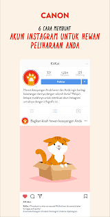 Tante dan jangan berhenti sampai tante suruh berhenti. 6 Cara Membuat Akun Instagram Untuk Hewan Peliharaan Anda