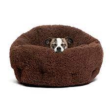 Since this great thermal dog bed only utilizes six watts of power, you'll be glad to know that it won't raise your electricity bill to soar new heights either. 7 Best Heated Dog Beds 2021 Reviews Buying Guide Safe Options