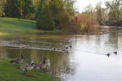 This home was built in 1990 and last sold on 4/30/2009 for $238,600. Cook And Durham City Parks Hike Hiking In Portland Oregon And Washington