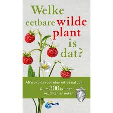 Welke Eetbare Wilde Plant Is Dat Veldshop Nl