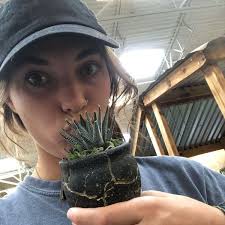 My Friends by Fredrik Backman