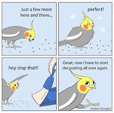 Pin By Sandy Ayres On Birds Funny Parrots Cute Animal Memes Cockatiel