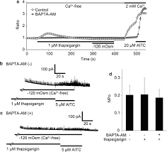 We did not find results for: Hypotonicity Induced Cell Swelling Activates Trpa1 Springerlink