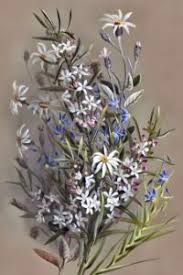 Image result for Hugonia grandiflora